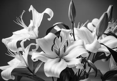 Lilies in Black & White - Limited Edition of 24 thumb