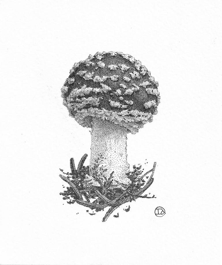 Amanita. Mushroom. Drawing by Ianna Lu | Saatchi Art