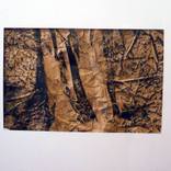 Untitled (Jan 13) by daniella wood
