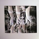 Untitled (Jan 13) by daniella wood
