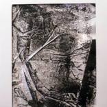 Untitled (Jan 13) by daniella wood
