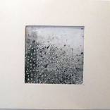Untitled (Jan 13) by daniella wood