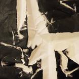 Untitled (Jan 13) by daniella wood