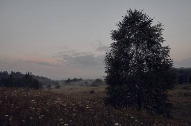 Original Realism Landscape Photography by Georgy Bezborodov