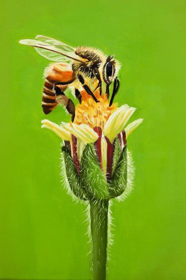 Original Photorealism Animal Paintings by Daniel Mensah Boafo