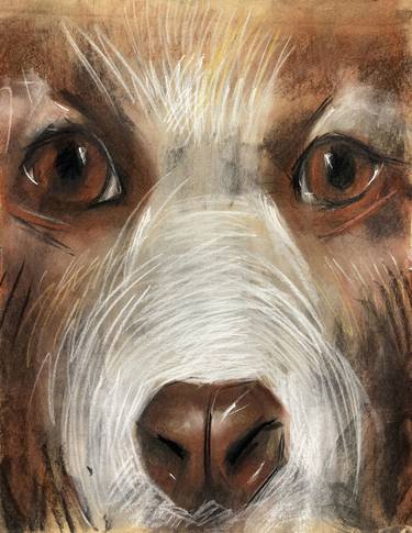 Print of Dogs Drawings by Svetlana Tiukkel