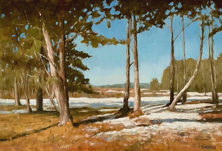 Original Fine Art Landscape Painting by Shaun Burgess