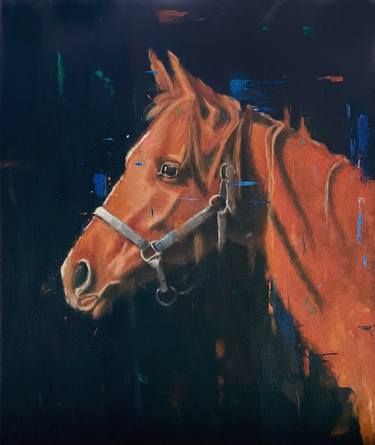 Original Contemporary Horse Paintings by Shaun Burgess