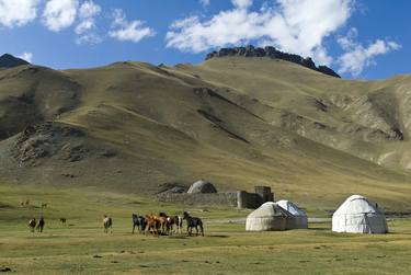 Wild horses in the Tien Shan mountains - Limited Edition of 15 thumb