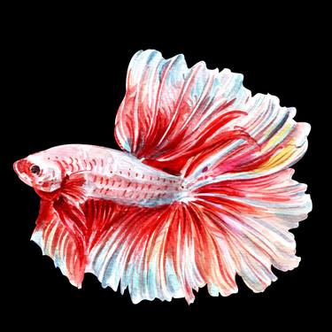 Betta Fish waterecolor thumb