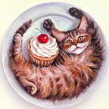 Collection In Animal Logic