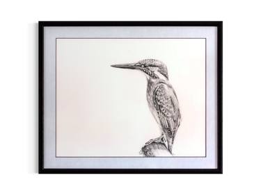 Resting Spot- Kingfisher Wildlife Nature Drawing thumb