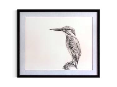 Original Animal Drawings by Rose-Marie Marshall-Jane