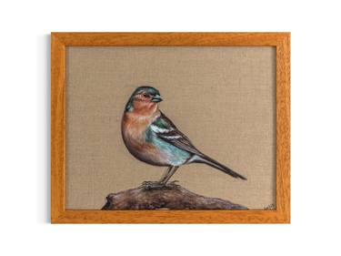 Little Chaffinch - Gouache on Linen Canvas Framed Painting thumb
