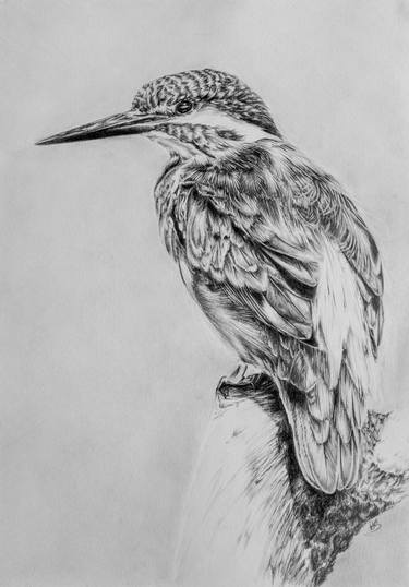 Print of Fine Art Animal Drawings by Rose-Marie Marshall-Jane