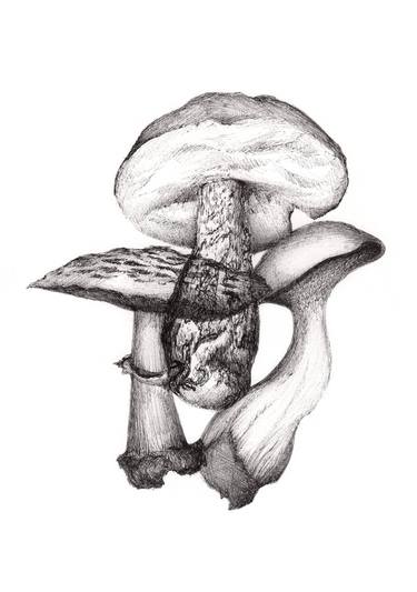Original Figurative Botanic Drawings by CAMILLE CHARNAY