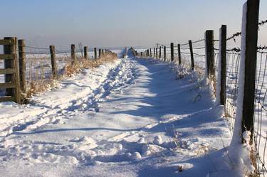 Footsteps Along the Way thumb