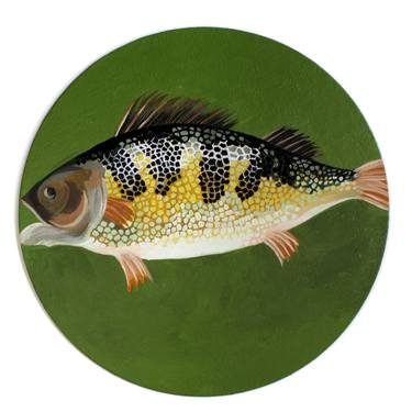 Original Fine Art Fish Paintings by Yeon Choi