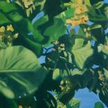Foliage I by Maria Bordeanu
