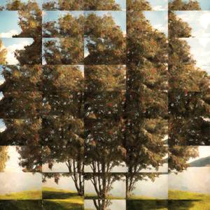 Collection Church St. / Whitlock