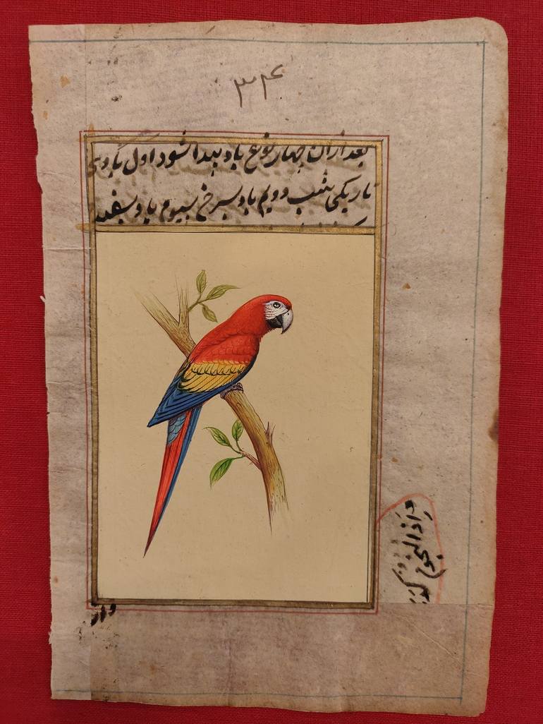 Hand Painted Parrot Bird Birds Miniature Painting India Art on Old ...