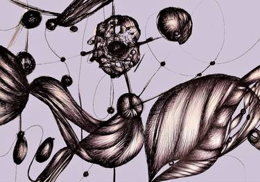 Print of Conceptual Nature Drawings by FRANCESCO GIORDANO