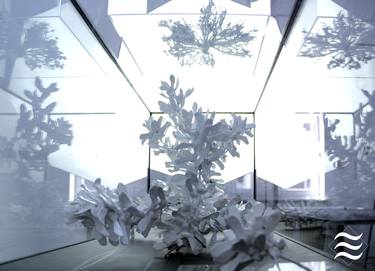 Print of Nature Installation by John Franzen