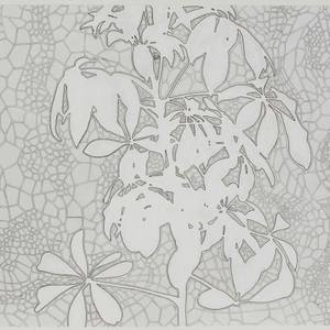 Collection Botanicals