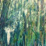 Collection Waipori Falls Lightcatchers