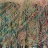 Winter's Light by Kate Williamson