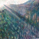Ruby Light by Kate Williamson
