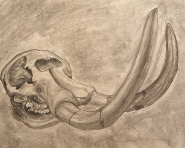Mastodon Skull thumb