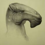 Camel 17th Century by Gord MacDonald