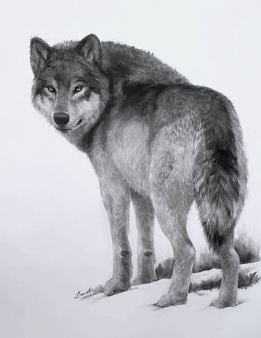 Original Animal Drawing by Kisoo Chai