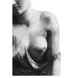 Fragmented by Herk Alexander