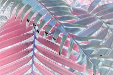 Original Abstract Botanic Photography by Anna Korbut