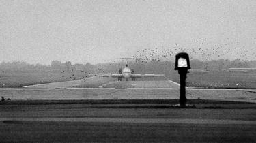 Plane landing and birds, Milwaukee airport 1975 - Limited Edition #3 of 99 thumb