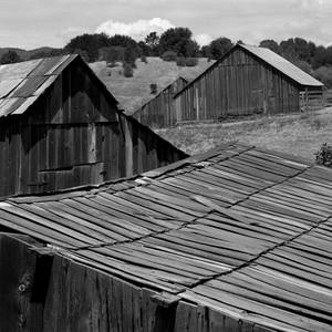 Collection Yosemite 1958