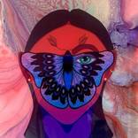 Moth by Jordan Davies