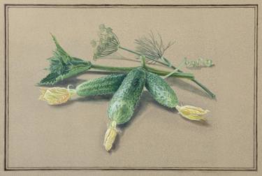 "Cucumbers" classical drawing in a realism-style, original artwork, 2010, painting gouache/paper. thumb