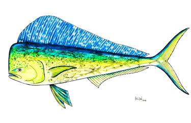 Print of Expressionism Fish Drawings by Graham Wallwork