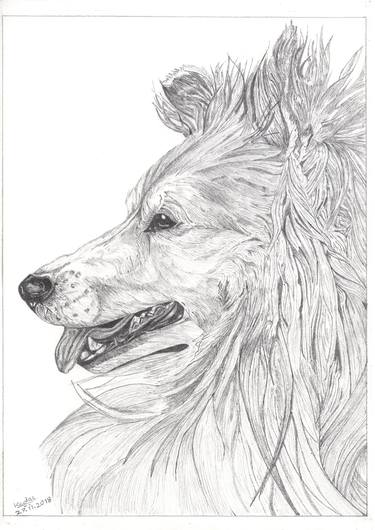 Print of Dogs Drawings by Kedar Shende