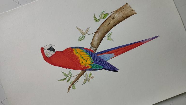 Red parrot painting Macaw realistic watercolor bird Painting by Aditya ...
