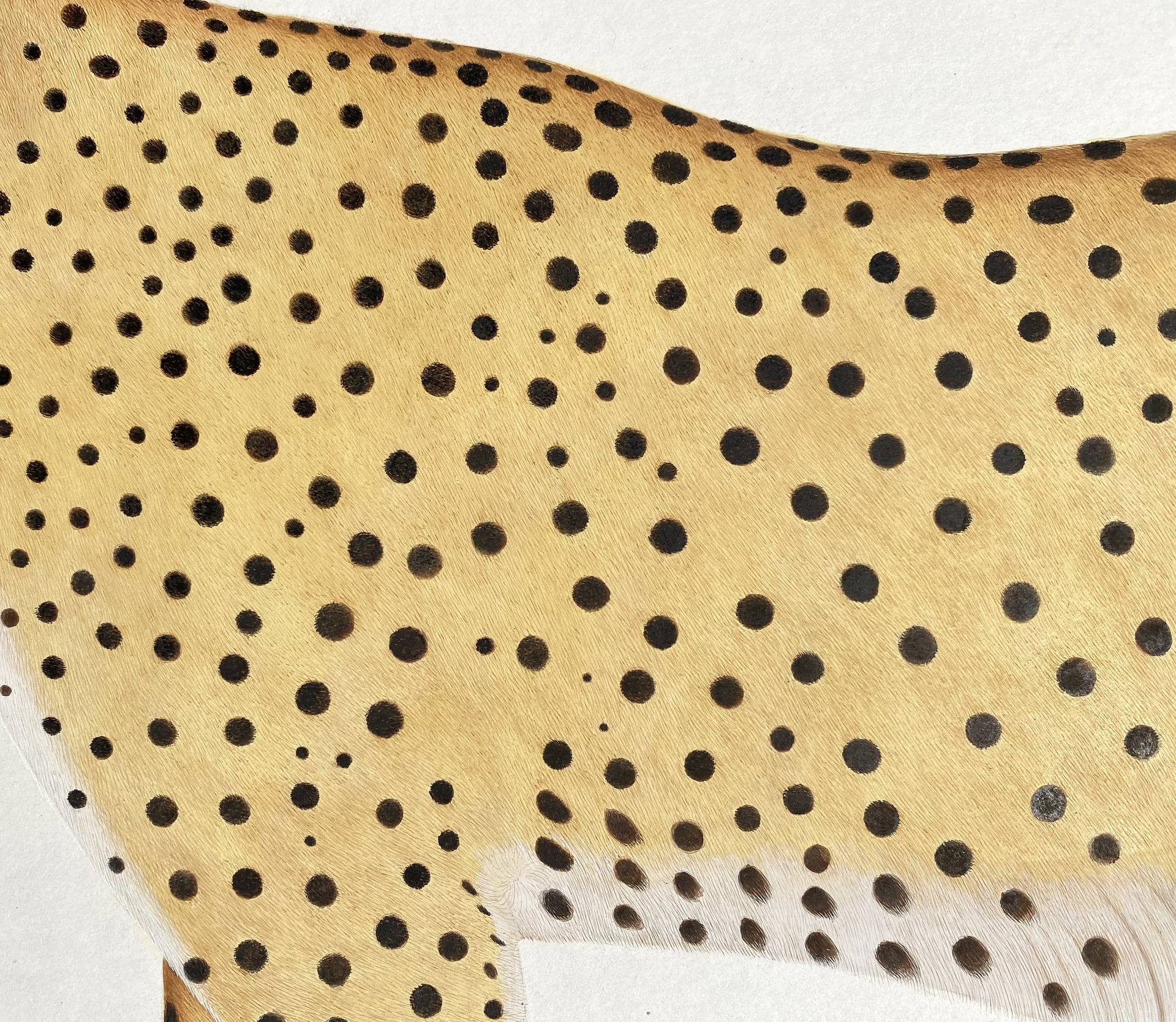 Cheetha Artwork, Indian Miniature Cheetah Painting
