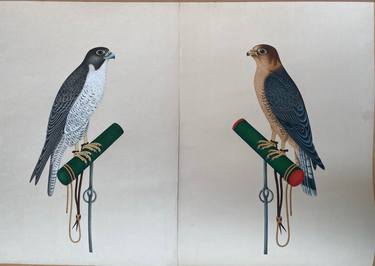 A pair of bird painting, A falcon and Hawk miniature painting thumb