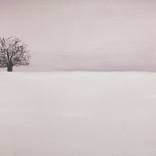 Pink winter by Irene Aranda