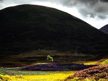Colors of Scotland, Highlands thumb