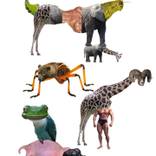 CrossBreeding Selection 1 by Sardine and Tobleroni Rechsteiner-Silveira