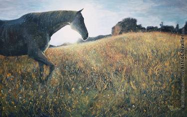 Original Horse Paintings by Astrid Chevallier