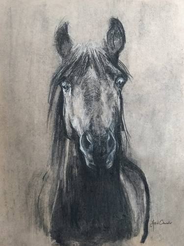 Original Horse Drawings by Astrid Chevallier